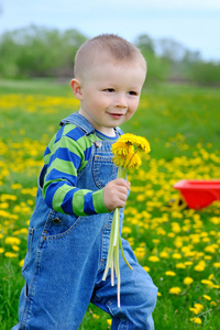 小男孩走在一个草甸与黄色的花朵