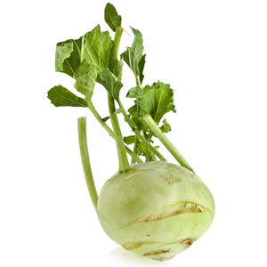 在白色背景上孤立的大头菜白菜照片