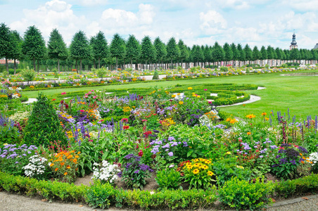 夏天的花坛和绿色的草坪.