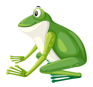 绿色青蛙例证的侧面看法