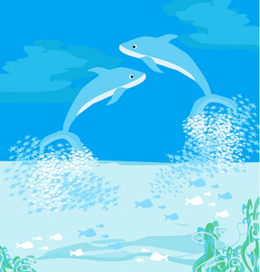 两个海豚跳跃的水