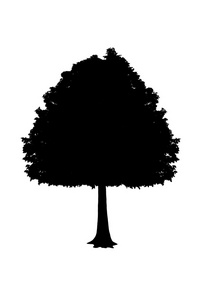一棵树，孤立在白色背景上的黑色剪影