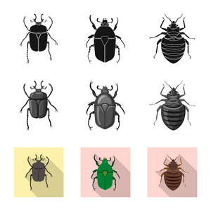 昆虫和苍蝇的孤立对象图标。网络昆虫和元素股票符号的采集