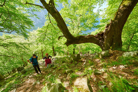 家庭的徒步旅行者在一条山路上行走