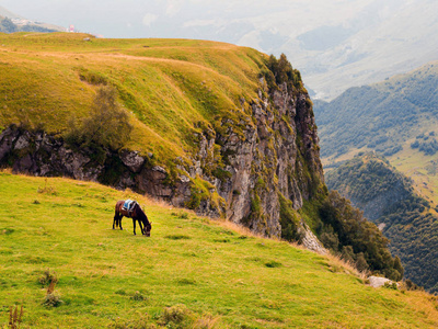 山风景与放牧的马, 佐治亚秋天, 卡兹别吉