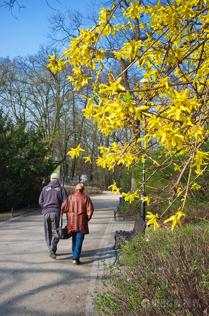 高级情侣在公园散步