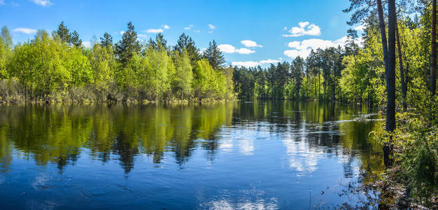 俄罗斯中部春季全景水景观。河的全景在5月在国家公园 Meshchersky