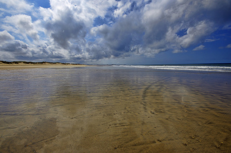 沙丘和海滩在葡萄牙布拉加镇附近的北面