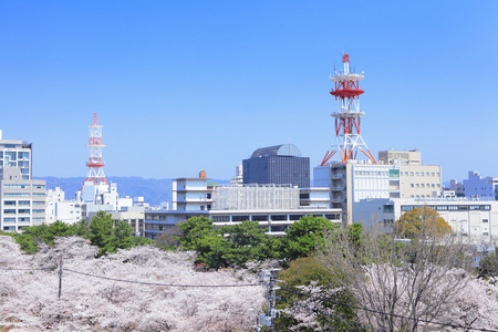 和歌山县市容