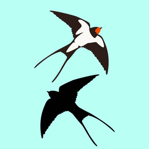 春天的燕子卡通图片