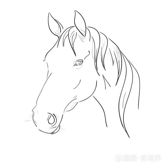 马头矢量