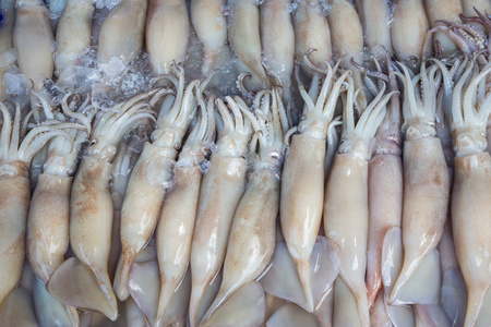 鲜鱿堆积在冰面上市场，泰国，顶视图