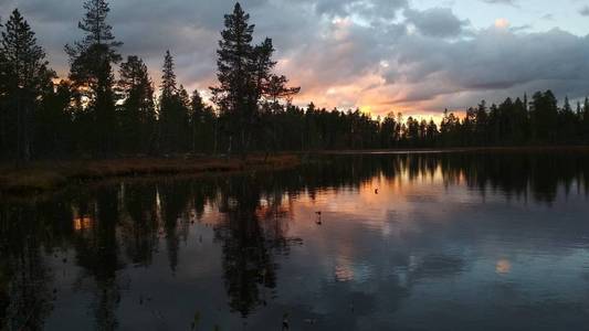 俄罗斯北部森林中的湖泊