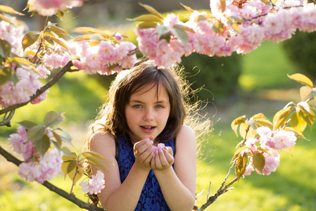 欧美图片日本图片