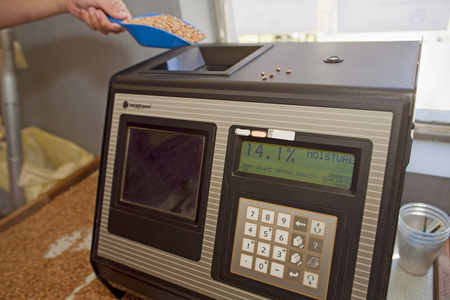 小麦籽粒中水分的测量