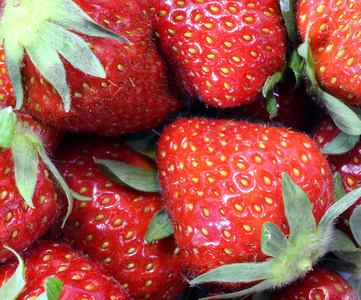 成熟的红草莓背景