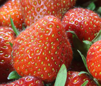 诱惑 背景的红色成熟的草莓