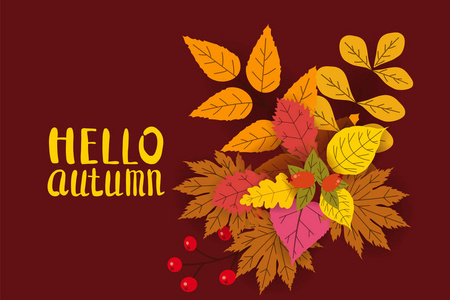 你好秋天, 背景以下落的叶子, 黄色, 橙色, 褐色, 秋天, 刻字, 模板为海报, 横幅, 载体, 隔绝