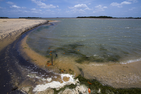 Kokkilai 泻湖斯里兰卡