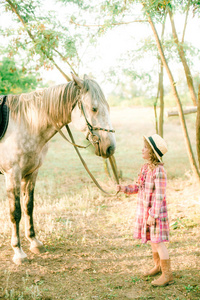 一个漂亮的小女孩, 在老式的格子礼服和草帽和灰色的马, 卷发卷曲的头发。农村生活在秋季。马和人