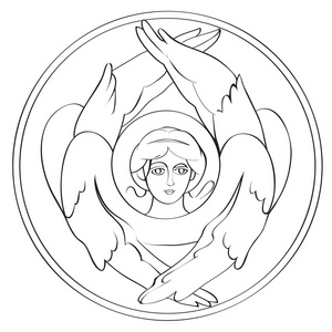 六翼天使绘图