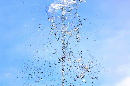 广泛蔓延的枝条水是广泛传播在蓝色背景上照片