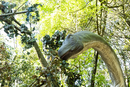 恐龙站在丛林里, 脖子长得很容易在大树上吃叶子, 在原始时代的生活的