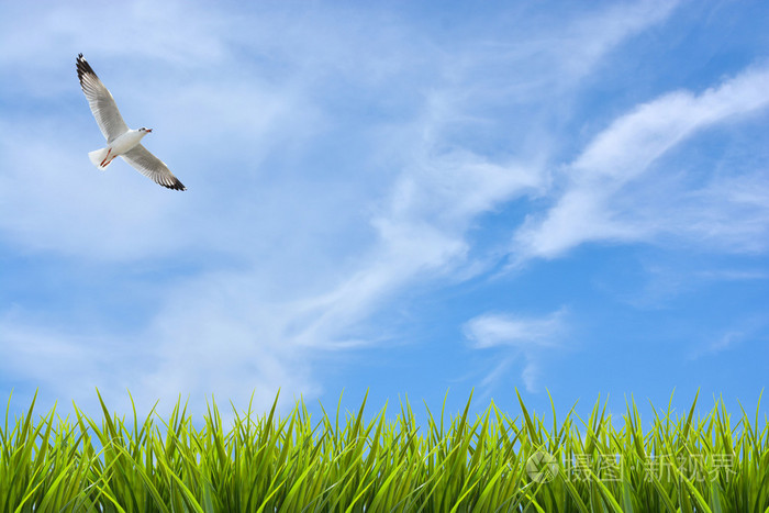 限制暂无图片作者zephyr18新媒体授权标准授权扩展授权如何选择jpg大