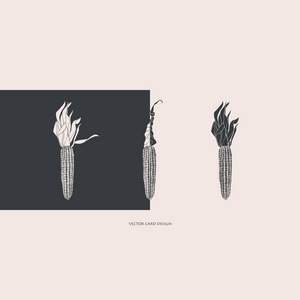 矢量插图。风格的玉米剪影。矢量卡。封面设计