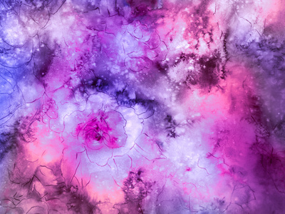 洋红和紫色花卉