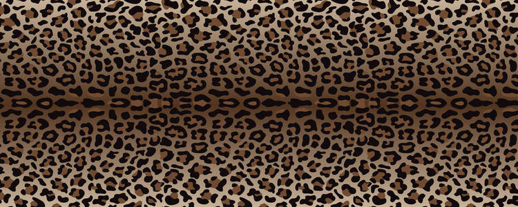 米色和褐色豹时尚网页横幅