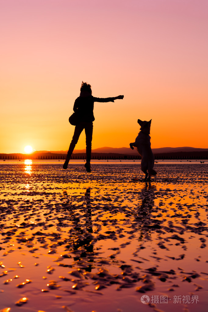 时髦女孩在海滩在日落,剪影与鲜艳的色彩和狗一起玩