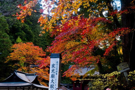 日本秋季
