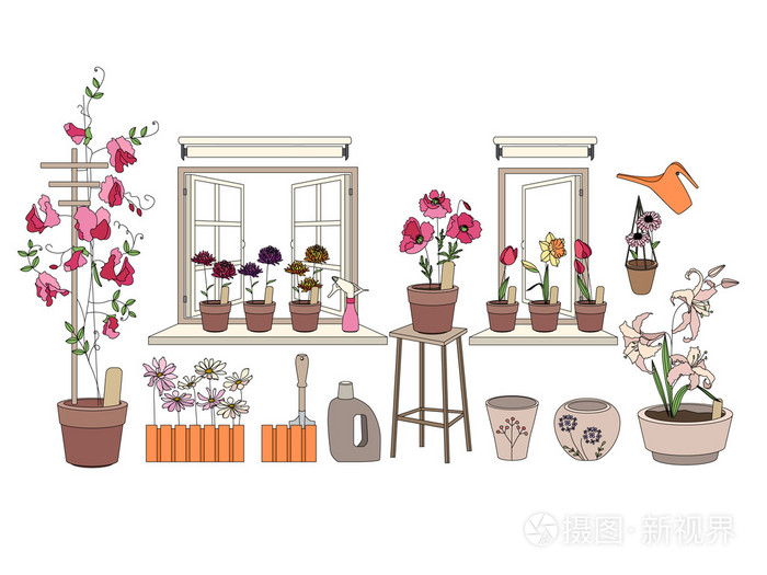 花盆用香草和蔬菜植物生长的窗台和阳台