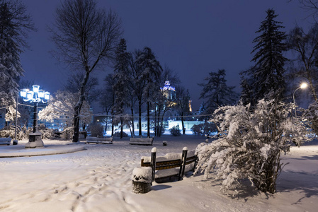 美丽的夜间冬季公园在利沃夫市中心 乌克兰 与积雪覆盖的树木和长凳。圣乔治大教堂教堂远