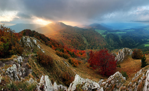 岩石和森林在秋天在斯洛伐克