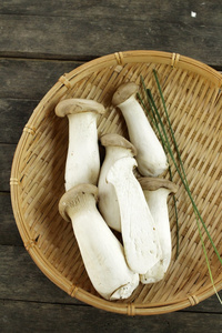 有机杏鲍菇图片