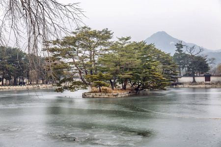 美丽的树在冰冻的秋日池塘, 令人惊叹的景色