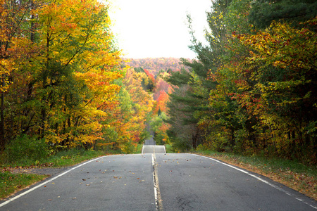 在晴朗的秋日, 乡间小路环绕五颜六色的树木