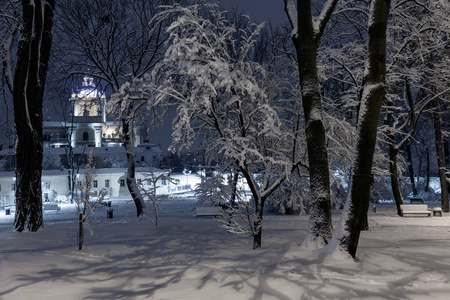 美丽的夜间冬季公园在利沃夫市中心 乌克兰 与积雪覆盖的树木和长凳。圣乔治大教堂教堂远