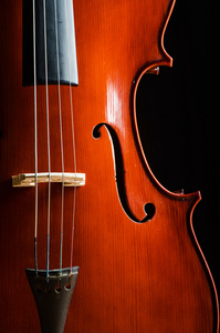小提琴在黑暗的房间音乐概念