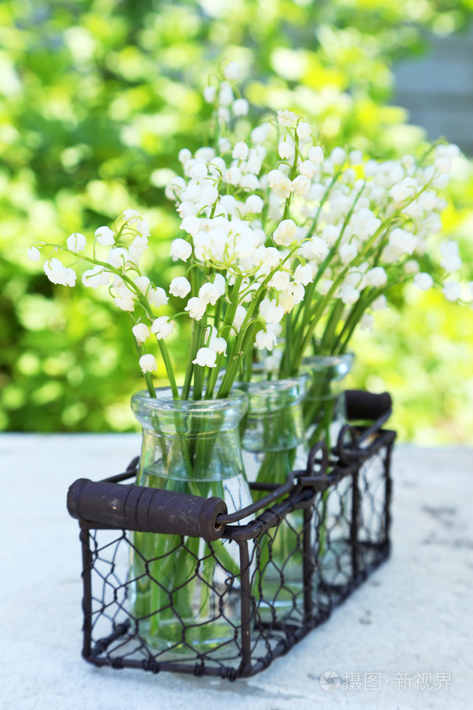 装在瓶子里山谷的百合花