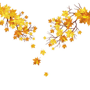 秋天的背景 色的叶子 红 黄 绿 紫 金 金色的秋天相似素材图片 摄图新视界