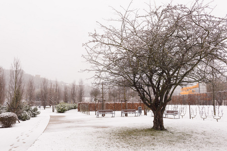 雪城公园，在公园里的雪
