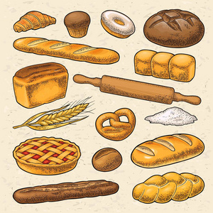 设置面包.矢量彩色手绘复古雕刻插图的海报, 标签和菜单烘焙店.