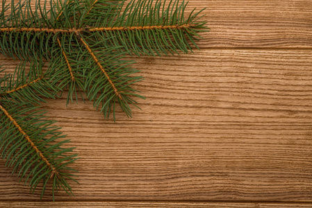 纹理云杉。圣诞树上的树枝在木板上
