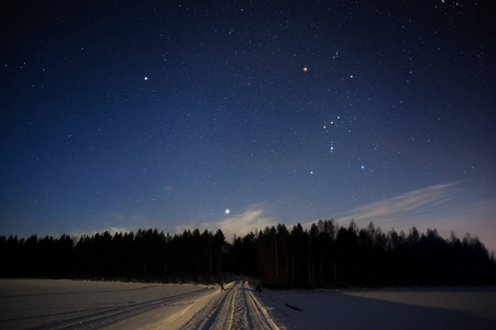 在冬季天空中, 猎户座星座和天狼星以上森林