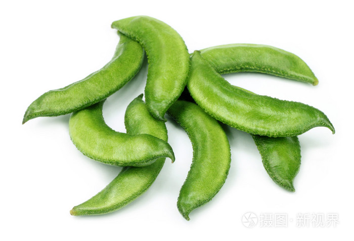 风信子bean或印度豆