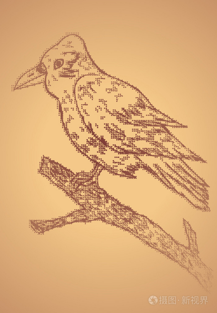 乌鸦素描