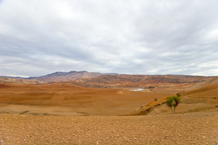 摩洛哥沙漠